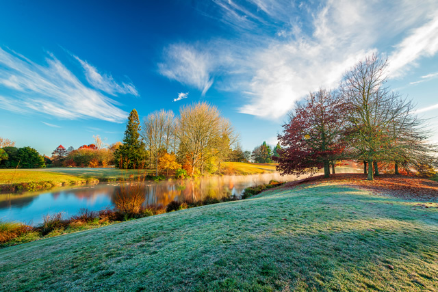 waikato